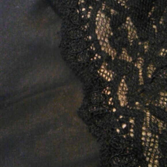 NWT D. J. Summers Lace and Sheer Evening Dress - Picture 10 of 10